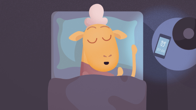 Shleep (Studio Wim) Shleep